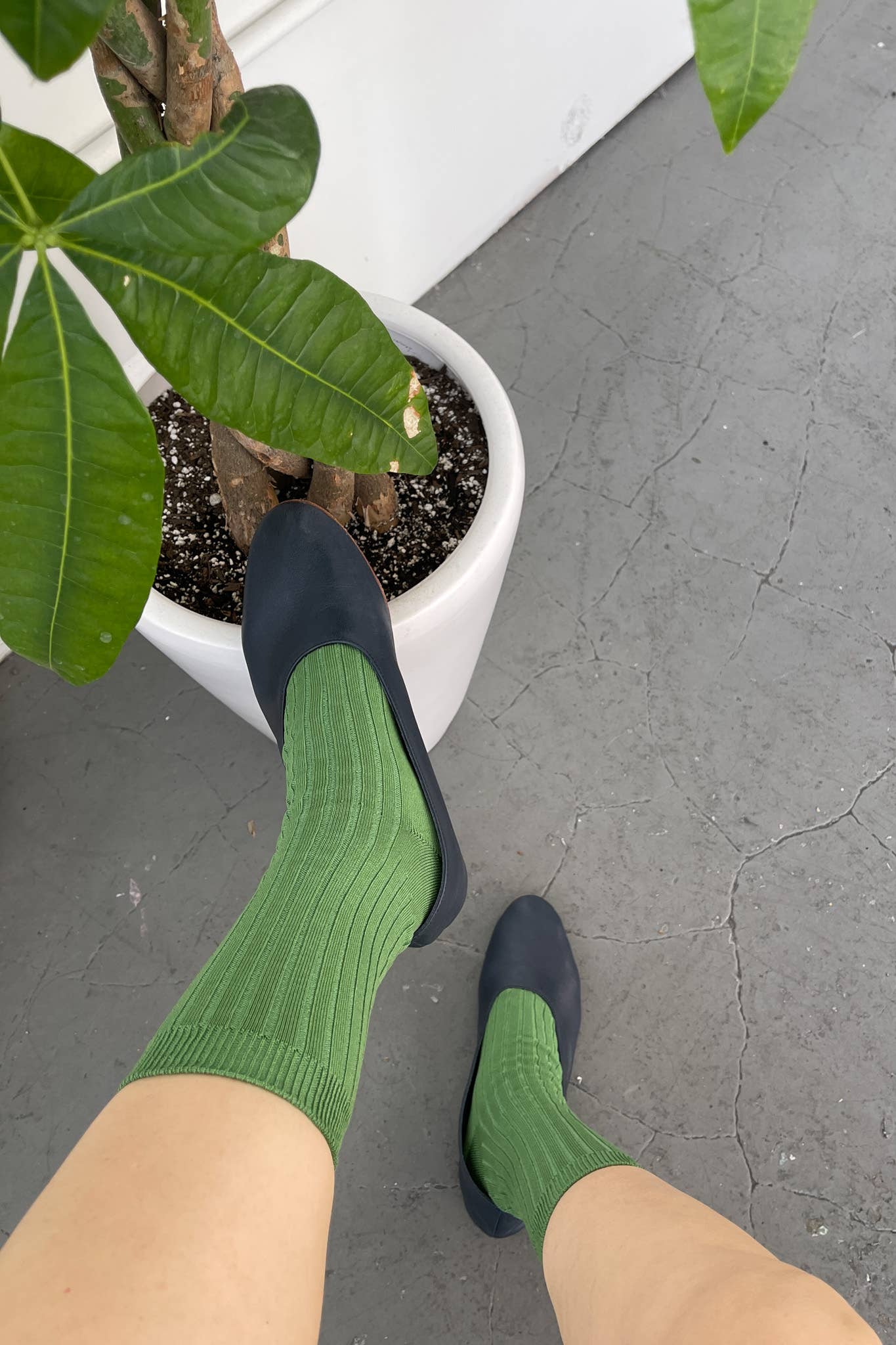 Her Socks - Mercerized Combed Cotton Rib: Cactus