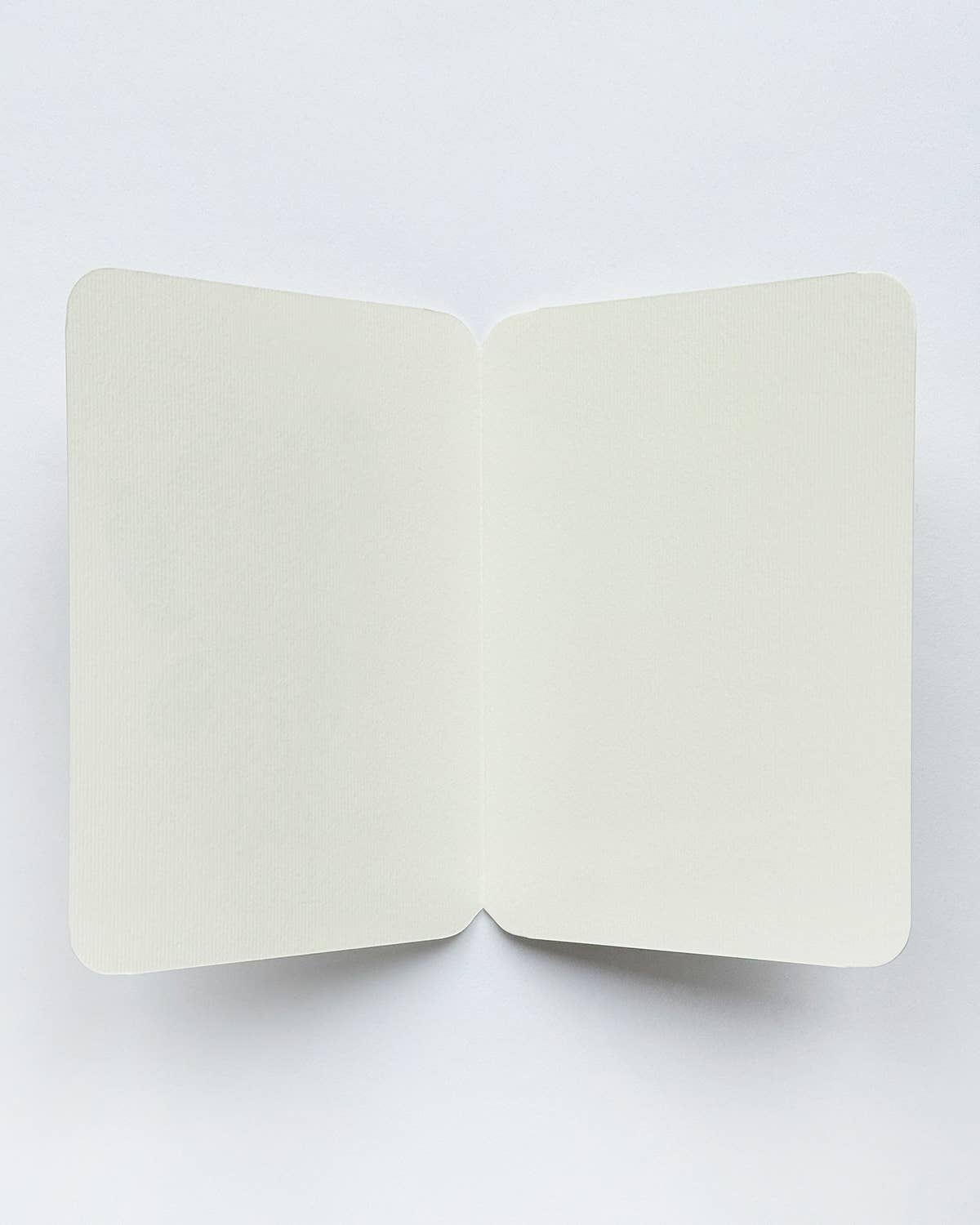 Baby Blue Velvet Bow Greeting Card: Individual
