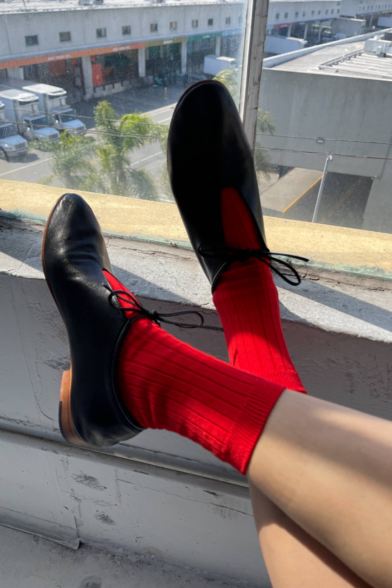 Her Socks - Mercerized Combed Cotton Rib: Cactus