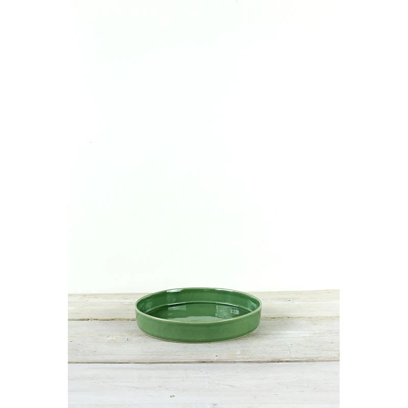 Parrot Pasta Bowl