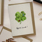 Four Leaf Clover Good Luck Card | Wishes