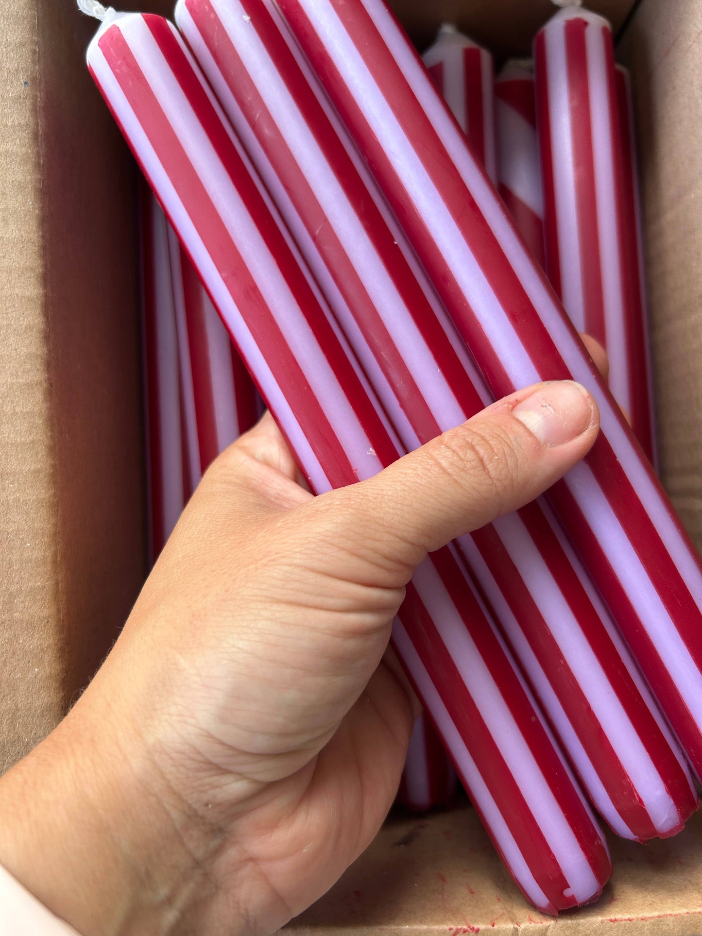 AUTUMN PINSTRIPES INDIVIDUAL : White/navy