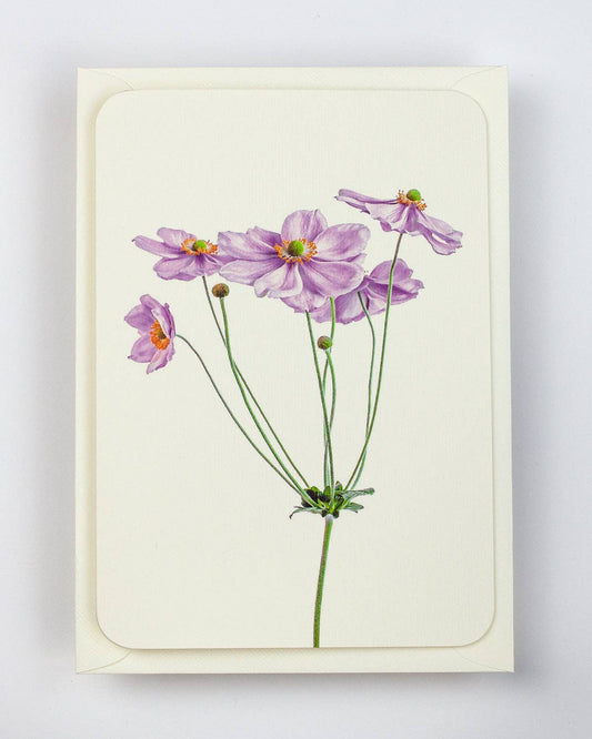 Anemone Greeting Card: Individual