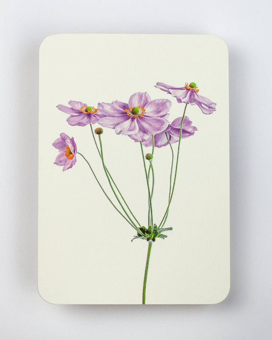 Anemone Greeting Card: Individual