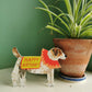 Happy Birthday Jack Russell