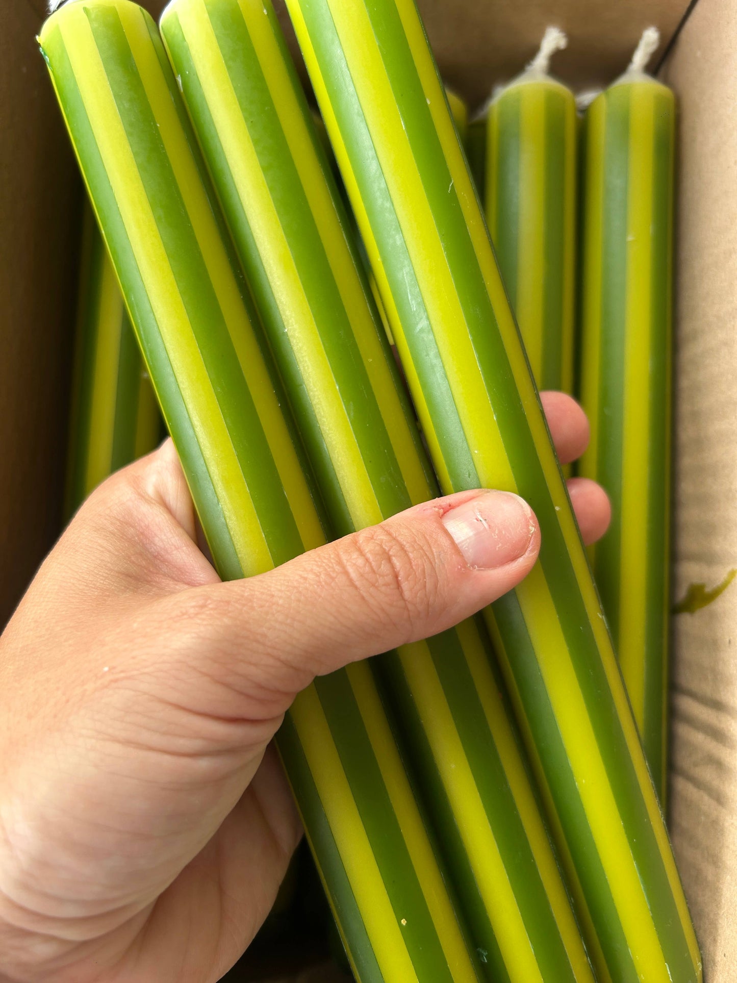 AUTUMN PINSTRIPES INDIVIDUAL : Apricot/rust red