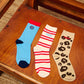 CORNISH RED SOCKS