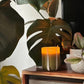 Atina Candle - Fresh Olive & Lemon