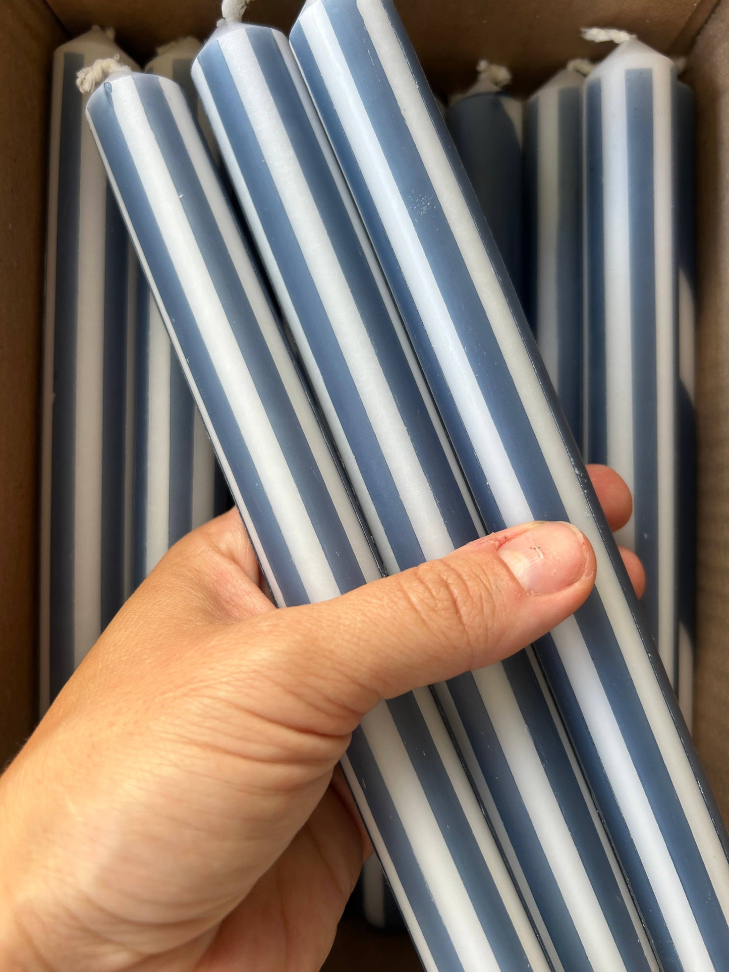AUTUMN PINSTRIPES INDIVIDUAL : White/navy